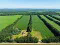 Durand Land Real Estate