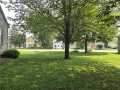 Colfax Residential Real Estate