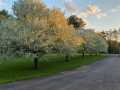 Elk Mound Residential Real Estate
