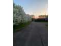 Elk Mound Residential Real Estate