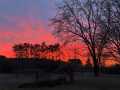 Elk Mound Residential Real Estate
