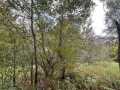 Colfax Land Real Estate