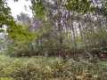 Colfax Land Real Estate