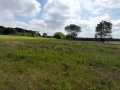 Boyceville Land Real Estate