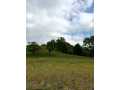 Boyceville Land Real Estate