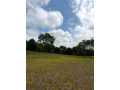 Boyceville Land Real Estate