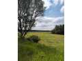 Boyceville Land Real Estate