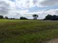 Boyceville Land Real Estate