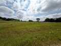 Boyceville Land Real Estate