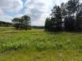Boyceville Land Real Estate