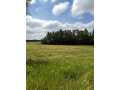 Boyceville Land Real Estate