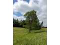 Boyceville Land Real Estate