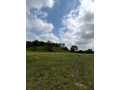 Boyceville Land Real Estate