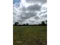 Boyceville Land Real Estate