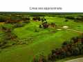 Sheldon Residential Real Estate