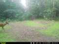 Clayton Land Real Estate
