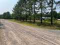 Black River Falls Residential Real Estate