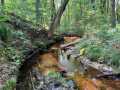 Black River Falls Residential Real Estate