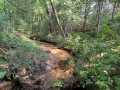 Black River Falls Residential Real Estate