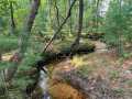 Black River Falls Residential Real Estate