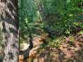 Black River Falls Residential Real Estate