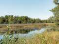 Trego Residential Real Estate