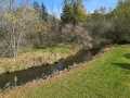 Boyceville Residential Real Estate