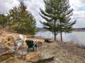 Colfax Residential Real Estate