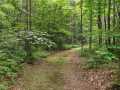 grand view Residential Real Estate