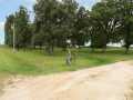Boyceville Residential Real Estate