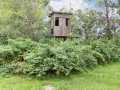 Boyceville Residential Real Estate