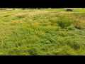 Boyceville Land Real Estate