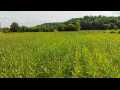 Boyceville Land Real Estate