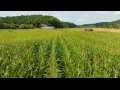 Boyceville Land Real Estate
