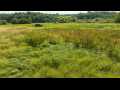 Boyceville Land Real Estate