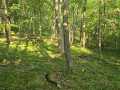 Colfax Land Real Estate