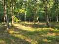 Colfax Land Real Estate