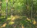 Colfax Land Real Estate