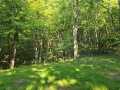 Colfax Land Real Estate