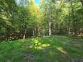 Colfax Land Real Estate