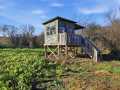 Boyceville Land Real Estate