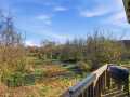 Boyceville Land Real Estate