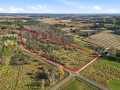 Boyceville Land Real Estate