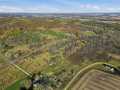 Boyceville Land Real Estate