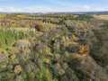 Boyceville Land Real Estate