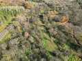 Boyceville Land Real Estate