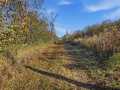 Boyceville Land Real Estate