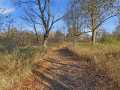 Boyceville Land Real Estate