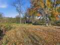 Boyceville Land Real Estate