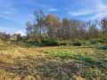 Boyceville Land Real Estate
